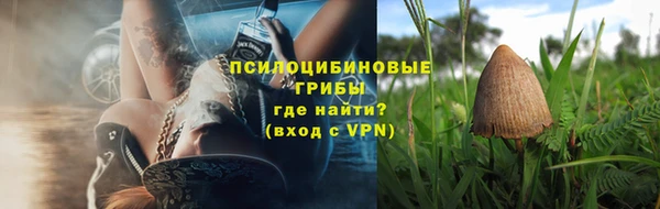 стафф Няндома
