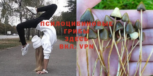 стафф Няндома