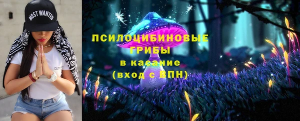 стафф Няндома