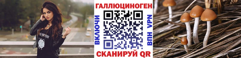 Псилоцибиновые грибы GOLDEN TEACHER  Неман 